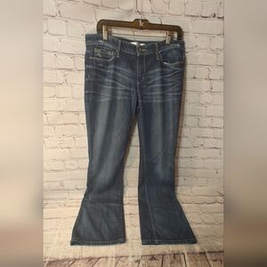 Joes Jeans Provocateur Flared Distressed Whiskered Jeans 30